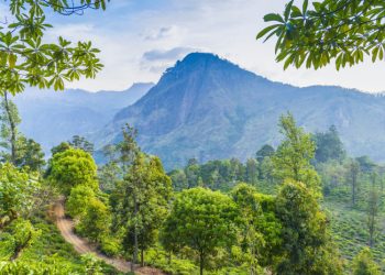 전 세계 61%, 팬데믹 이후 ‘지속 가능한 여행’ 더 원하게 됐다