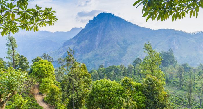 전 세계 61%, 팬데믹 이후 ‘지속 가능한 여행’ 더 원하게 됐다