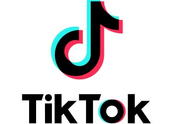 틱톡, 이용자 얼굴 수집 왜 하나