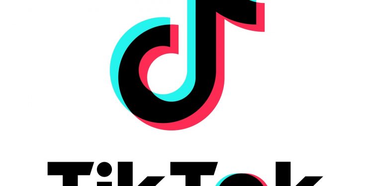 틱톡, 이용자 얼굴 수집 왜 하나