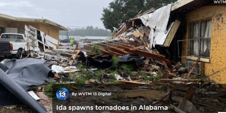 앨라배마에 토네이도 피해 잇따라