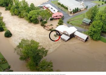 테네시주 홍수로 최소 21명 사망·50명 실종