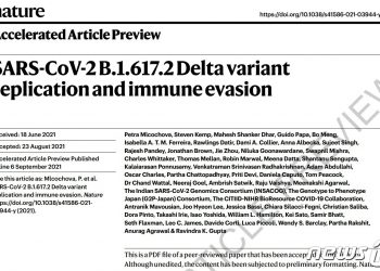 각국 항체치료제 ‘델타변이’ 효능 비교…’셀트리온’ 우위 – 뉴스1