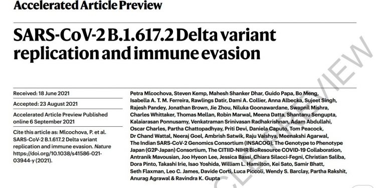 각국 항체치료제 ‘델타변이’ 효능 비교…’셀트리온’ 우위 – 뉴스1