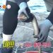 안정환, 대왕 장어 잡고 ‘입이 떡’