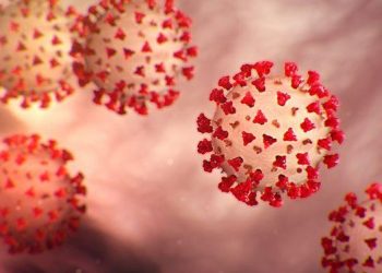 미국 델타변이 정점 지났나…한달새 확진자 증가폭 8분1로 ‘뚝’