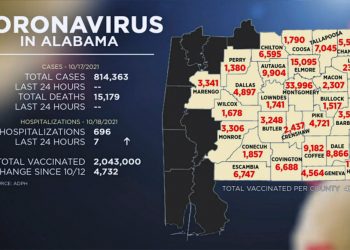 앨라배마 코로나19 발병률·입원 모두 하락세