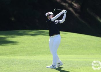 한국 선수들 LPGA 200승 향해 순항…안나린, BMW 챔피언십 8언더파 단독 선두