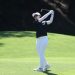 한국 선수들 LPGA 200승 향해 순항…안나린, BMW 챔피언십 8언더파 단독 선두