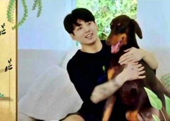 “도베르만 귀가 처져 있네?”…BTS 정국의 ‘선한 영향력'[펫톡톡]