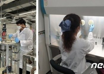 볏짚·옥수수속대 등으로 재생가능 에너지 만든다