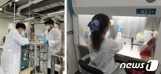 볏짚·옥수수속대 등으로 재생가능 에너지 만든다