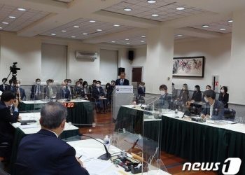 여야, 주미한국대사관 국감서 종전선언 놓고 “무책임””의무” 설전