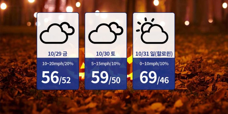 산들바람 불고 난 뒤 주말엔 매서운 겨울 느낌