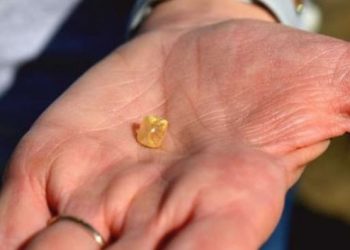 미국 여성 공원서 4.38 캐럿 다이아몬드 주워