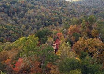 2021년 앨라배마에서 단풍 즐기기에 좋은 장소 15곳