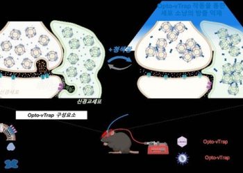 IBS,빛으로 뇌 기능·행동·감정 자유롭게 조절 기술 개발