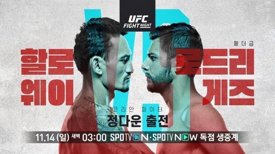 UFC 페더급 1위 할로웨이 vs 3위 로드리게즈, 14일 빅매치