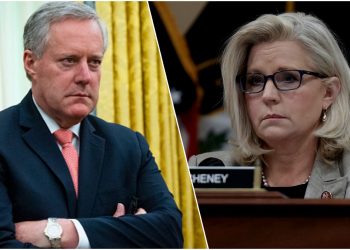 1월6일 위원회, 마크 메도우스 의회 모독 혐의로 회부