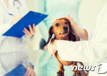 농림축산식품부, 중부대 등 동물보건사 양성기관 14개소 인증