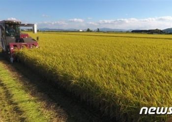 곡물 3.1%·유제품 3.4% 올라…세계식량가격지수 10년만 최고치