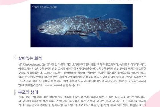 부산시 해양자연사박물관 12월 전시품으로 ‘실러캔스’ 선정