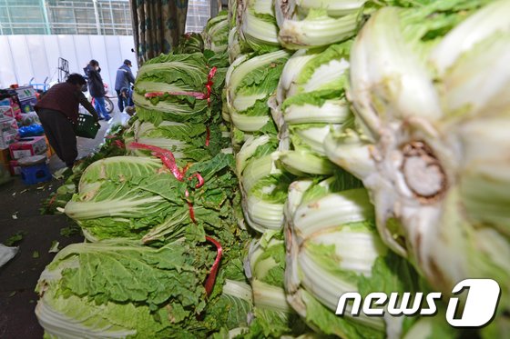 올해 김장 비용 4인가족 33만1000원…전년비 8.5%↑