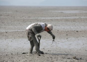 ‘우리 고유 어로방식’ 갯벌어로, 국가무형문화재 됐다