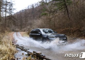 “크게, 더 크게” 덩치 커진 SUV… 대형 SUV 대거 출격
