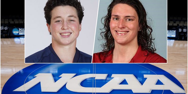 NCAA, 트랜스젠더 운동선수들을 위한 새로운 정책 채택