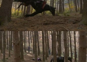 ‘태종 이방원’ 촬영 위해 넘어뜨린 말, 일주일 뒤 죽었다