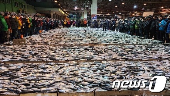 지난해 12월 고등어 생산량 2만8356톤…전월보다 53% 증가