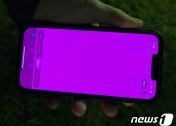 “아이폰13에도 벚꽃 폈다”…애플, 또 ‘핑크화면’ 논란