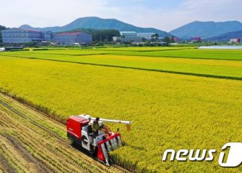 작년 쌀 소비량 30년 전 ‘반토막’…하루 두 공기도 안먹어