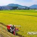 작년 쌀 소비량 30년 전 ‘반토막’…하루 두 공기도 안먹어