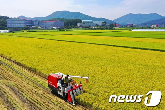 작년 쌀 소비량 30년 전 ‘반토막’…하루 두 공기도 안먹어