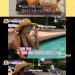 최환희, 모친 故 최진실과 찍은 사진 공개 “추억 많은데 오래돼 이제는 무덤덤”