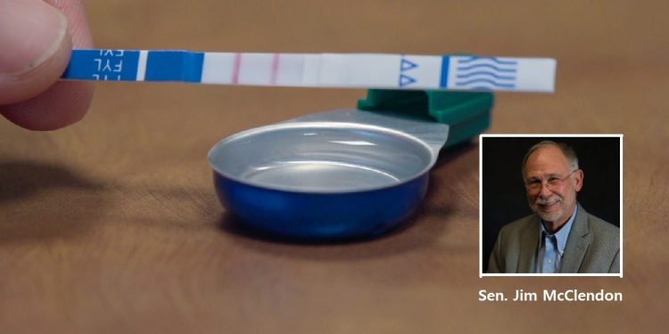 앨라배마주 의회, 펜타닐 검사지 합법화 법안 발의