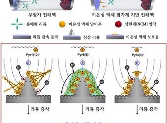리튬 금속 배터리 수명 늘리는 새로운 액체 첨가제 개발