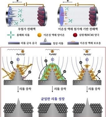 리튬 금속 배터리 수명 늘리는 새로운 액체 첨가제 개발
