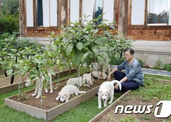 개·고양이 사료 속 어유·어분이 뭐지…동물제품 원료명 “어려워”