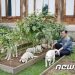 개·고양이 사료 속 어유·어분이 뭐지…동물제품 원료명 “어려워”