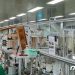 스벅 종이 빨대 어떻게 만드나 봤더니…”380도 열에서 순식간에”