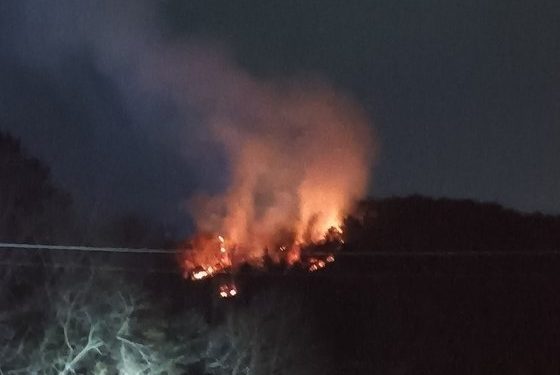 여수 야산서 산불 2시간 6분만에 완진…0.3㏊ 불에 타