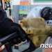국제유가 치솟자 수출·수입물가 동반 상승…원유값 15.0%↑