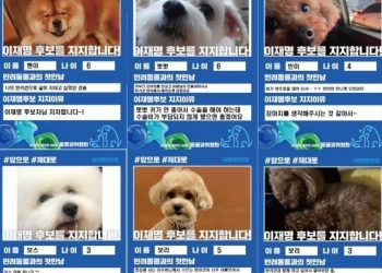 고민정 “반려동물들, 이재명 지지”→ 이준석 “우린 사람이 먼저”