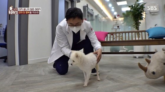 온몸 골절된 채 하수구에 버려진 강아지…”그래도 사람 좋아해”