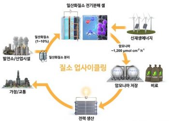 골칫거리 일산화질소로 수소 저장체 ‘암모니아’ 생산한다