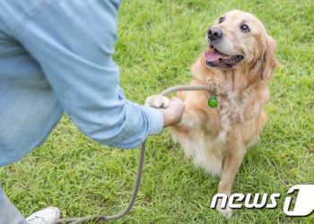 산책 중 만난 강아지, 쓰다듬자 ‘멍멍’…개물림 치료법은