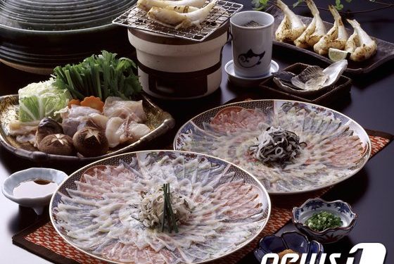 ‘비전문가 복어요리’ 먹고 4명 의식불명 후 회복…”확인 후 섭취를”